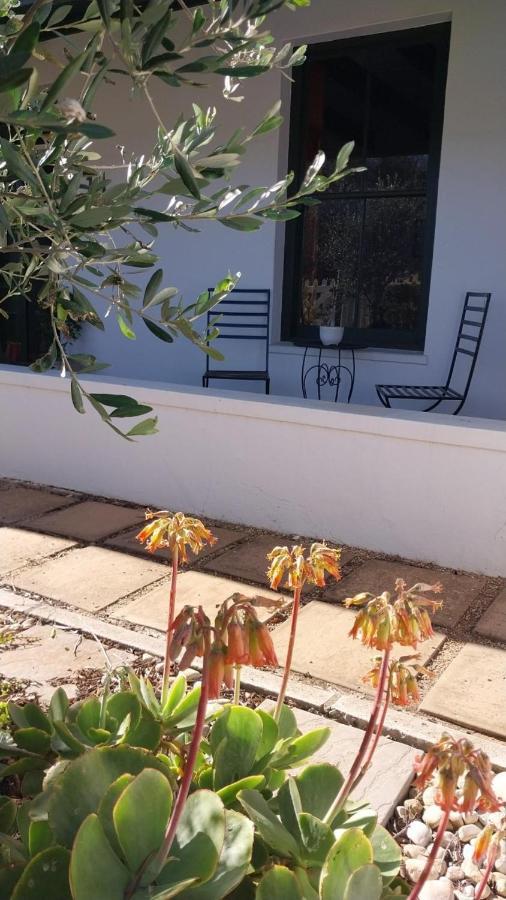 6 Olives B&B Darling Exterior foto